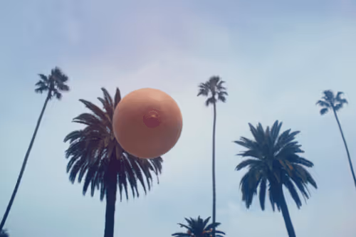 Item #113111140002140250973791650305229149446686531517167380726957978821647965093889 Media