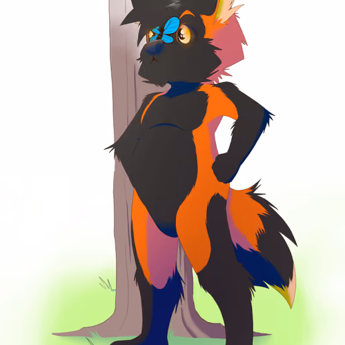 Fox with melanism | Zorro con melanismo