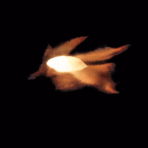 Item #108253621589995448517614068934439691995623298195803078876371819355623049396225 Media