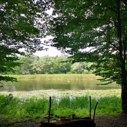Stop and Enjoy the View!