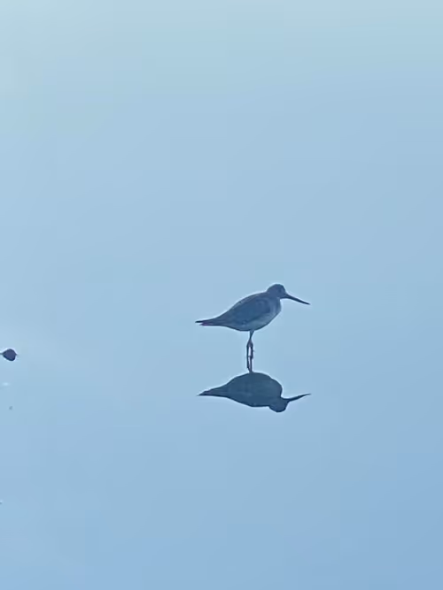 Item #34786585762302583369667834822932763663290229124647368230861745006475523129345 Media