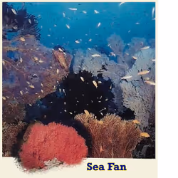 74384147968351040579703062341997949899687300572859929602215661715295551094794