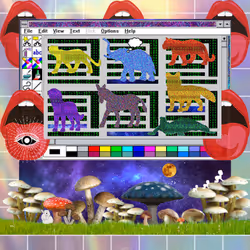 Item Media