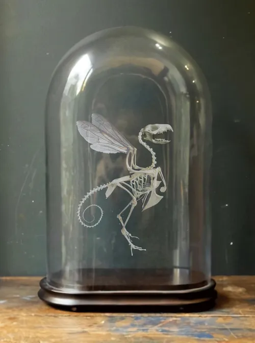 Item #106225092442133973548337307112034403228739979677248220281290190505965866975233 Media
