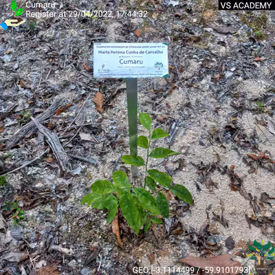 Item #8500196597889277390194123329501889087166328879864934763448348842408011628545 Media