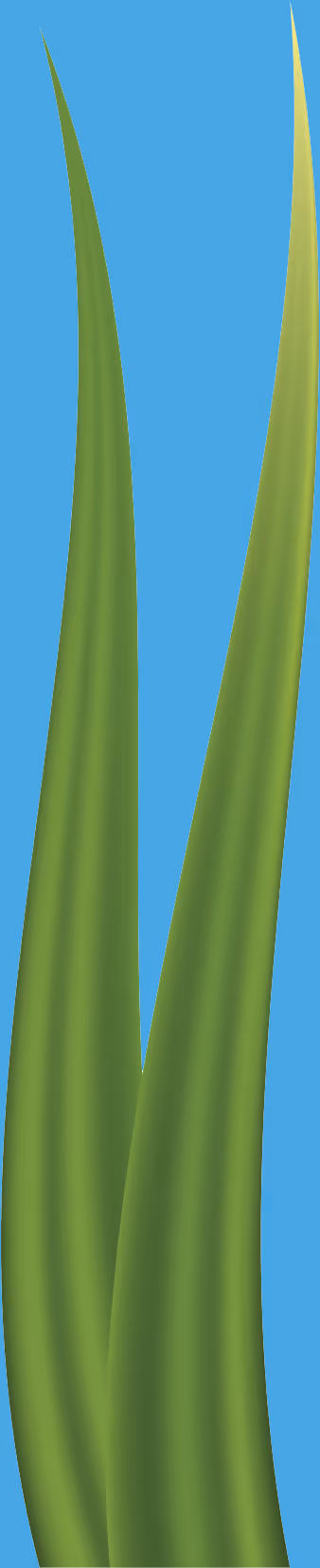 Item #78763235517899702300642317908544281341520076745003203023483946001604798316545 Media