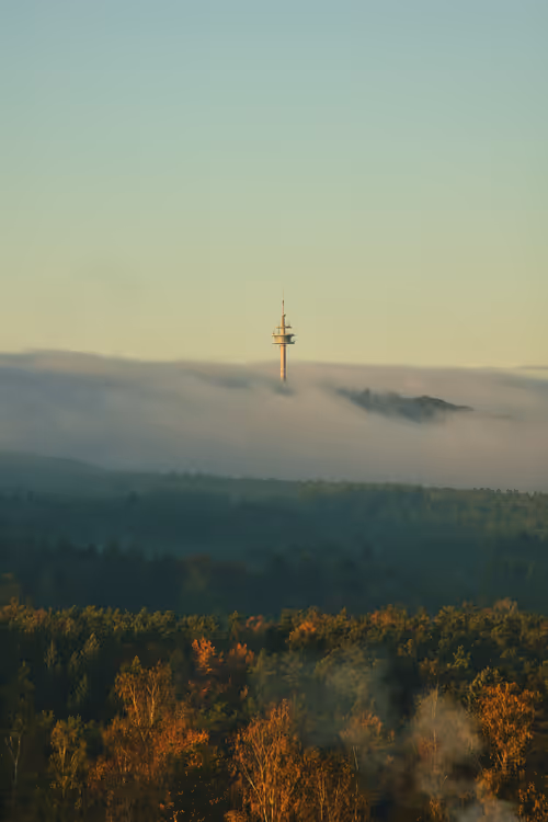 Item #83174245769062613221643297662196307692683505636315900266340216390553614417925 Media