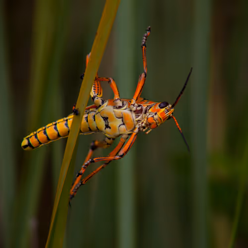 Untitled Collection #16366020