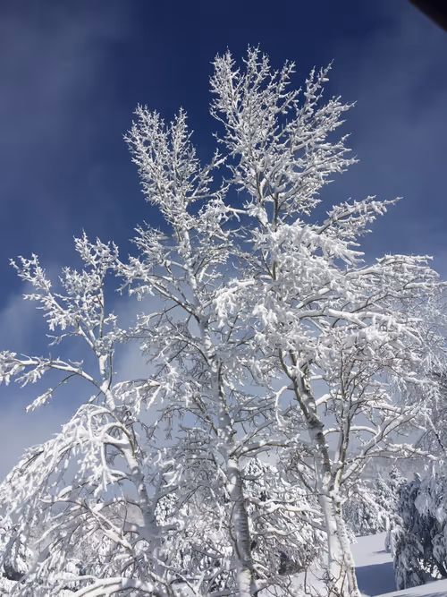 Item #70867767148206433816285647026950890777096964968120148821785755199221887139841 Media