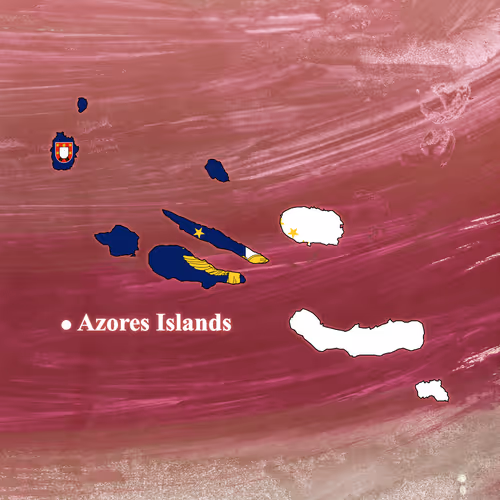 Item #11976756734337970498208291233410958730184699917260792952346209276030598774785 Media