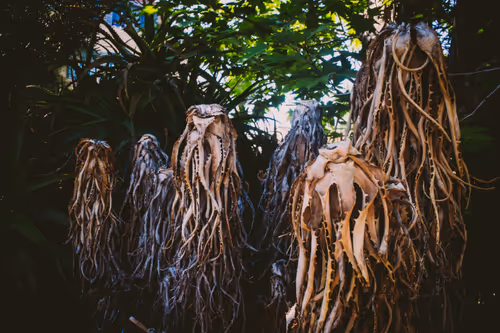 Item #96722404509651341404320943971918278257484839250108932769859130375360345014273 Media