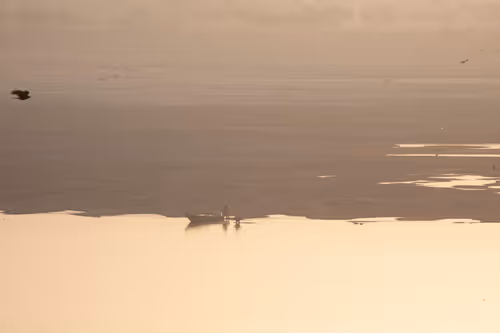 Item #36486330599558234192948007262260679931493432277950452627377023224510725226497 Media