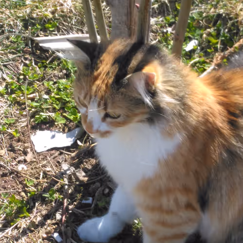 Untitled Collection #24155044