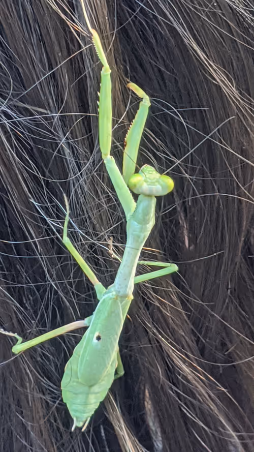 Item #47518194273065051299756248603371626593986050369570479212048397422314100097025 Media