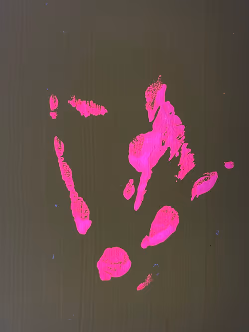 Item #82156306384610747966184862212727550247456131418142315154672423532533502705665 Media