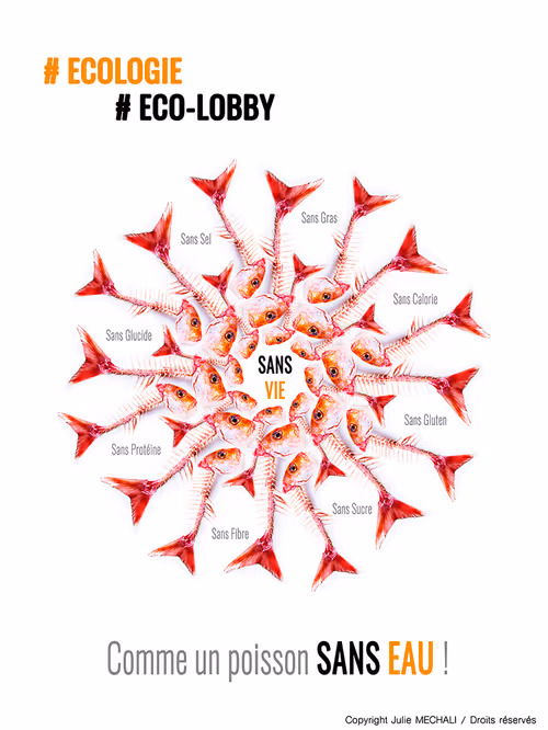 Item #192861433929469222332350482472311424761069241595831942958801645017097043969 Media