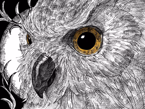 Item #24074374014053992781103256032761145358383794061686813116604600820247507763201 Media