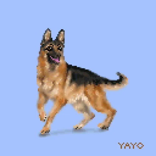 Item #13080766421190555612307919645379576803990371461875354718024555278356117979138 Media