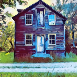 boarded up beauty