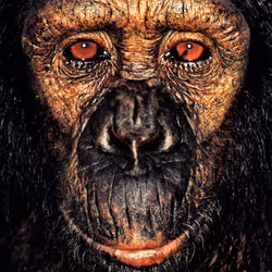 109162157552346088047496633038404394118504199992061596446112929721678408187905