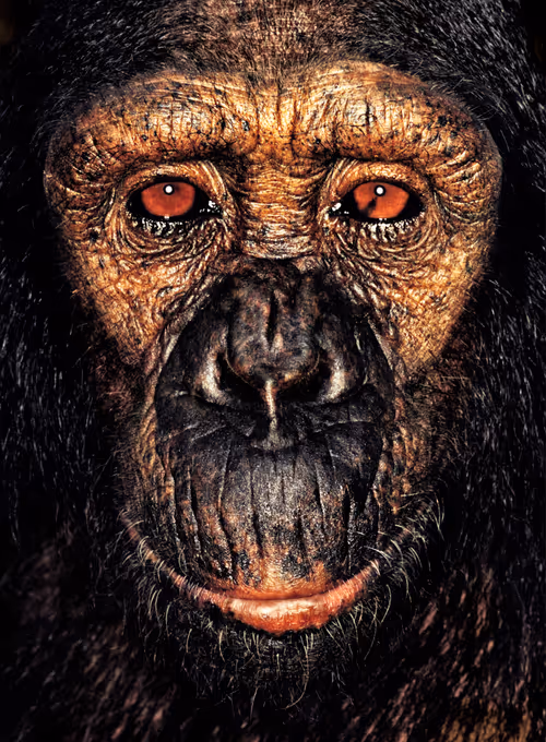 Item #109162157552346088047496633038404394118504199992061596446112929721678408187905 Media