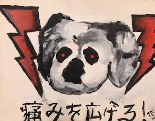 JonnyUtah007 Collection