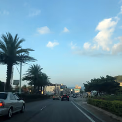 Daily Life#2