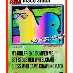 DISCO SHIBA