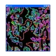 41949224622596714873346147328599525042715096095595856169569555835639318970369
