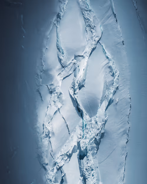 Item #59969087872528247593562305556961493003860374277083575615722774309249698758657 Media