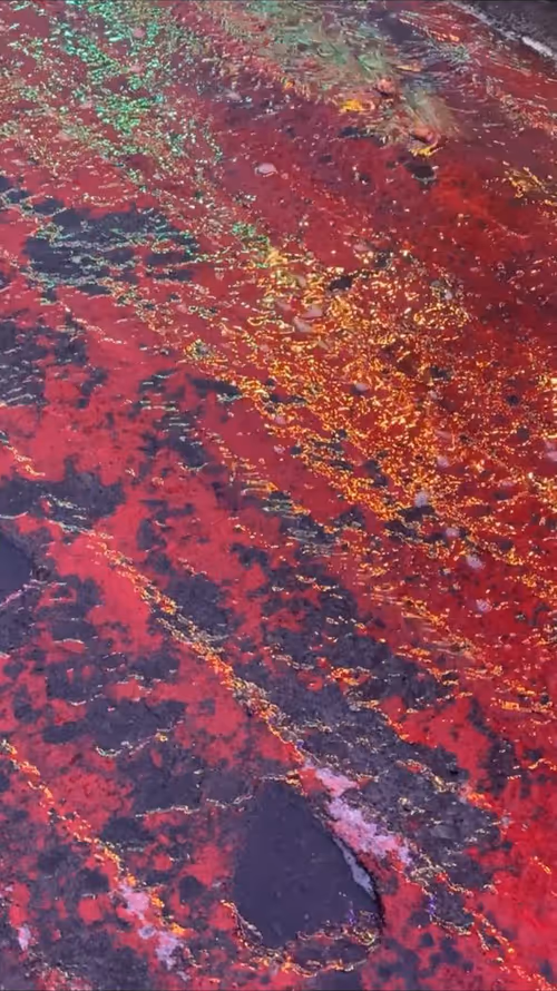 Item #62402000334580523921237358418718502457721815832787791947048085174949829935105 Media