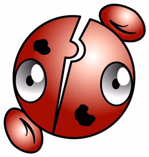 Item #71706220530221175748943309075934368077976093687926042127174425776718547527440 Media