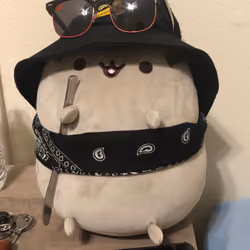 Pusheen Yang Ho
