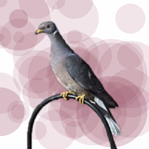 Item #44224140947385297080294490486331546758837636797201957936873602953819679883265 Media