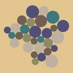 abalone-00029