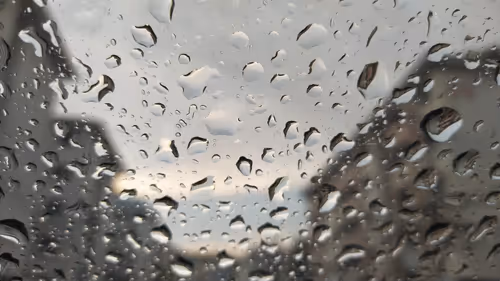 Item #79713203318427151500425127897516188982534148841473779850876404383798987325441 Media