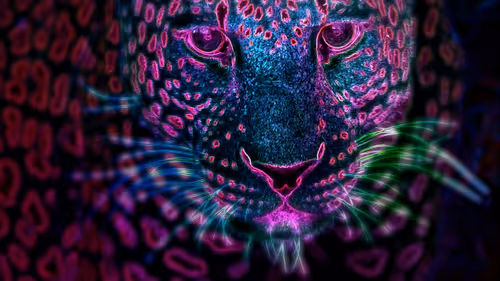 Item #44700177556079130579027571864789921161109844202338692374214745843674568982538 Media