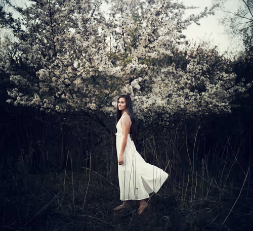 Item #64274873262107114504721973997955312169108596611344264208344202399533477396481 Media