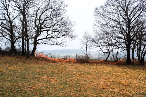 Item #88837150709499798352031986971363165703044907958800399059978422700733156556801 Media