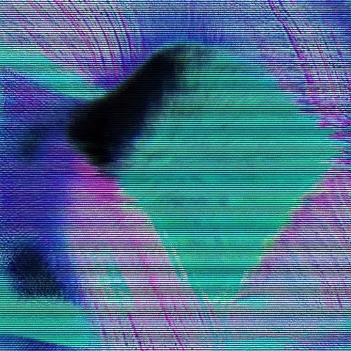 GURUGURUHYENA Collection