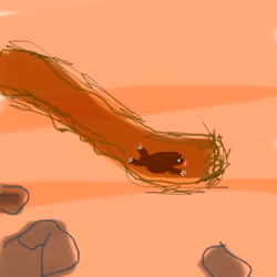 hapidigger