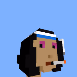 PunkVoxels #1224