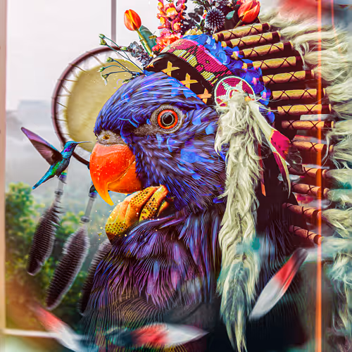 Dream Catcher