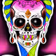 POP-LINE ART COLLECTION