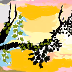 Silhoutte