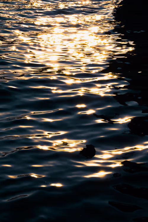 Item #105429247356524574513865010797091204123942859276429583682031123591043506765825 Media