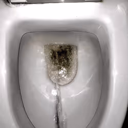 12660136923828748263426703316480839463053827608546839420335323877776830758913