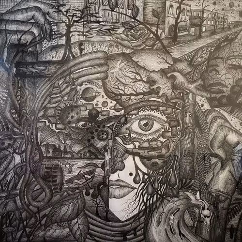 Untitled Lady Covered 