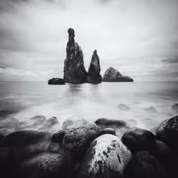 The Guardians