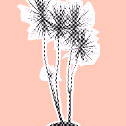 25379124807980713745219244606437574046087384809022650852355167107122865373185